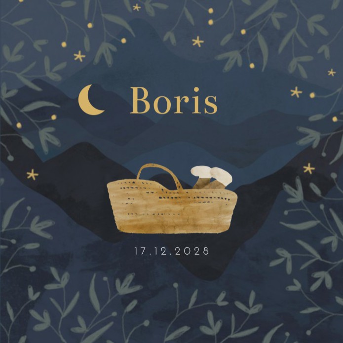 Geboortekaartje jongen donkerblauw mandje baby Boris