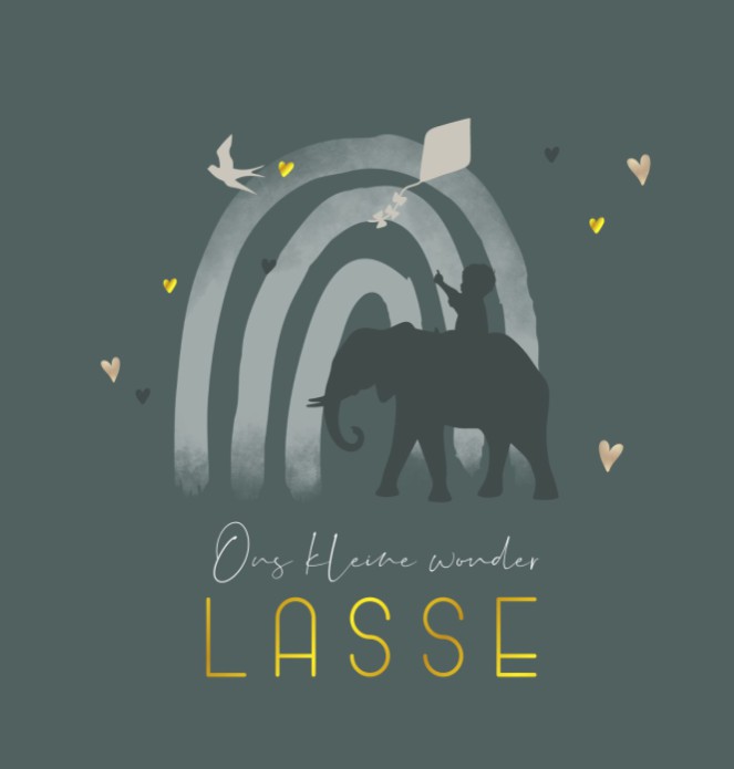 Geboortekaartje zoon silhouet olifant Lasse