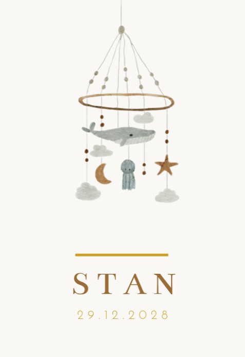 Geboortekaartje jongen minimalistisch mobiel Stan
