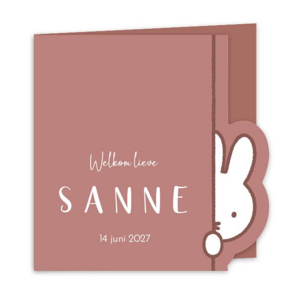Geboortekaartje meisje nijntje uitsnede Sanne