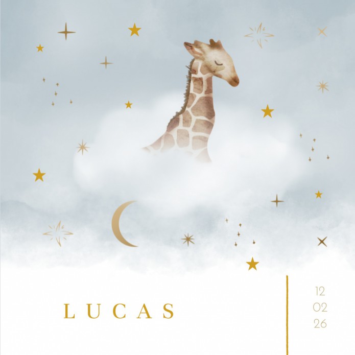 Geboortekaartje jongen giraffe wolken blauw Lucas voor