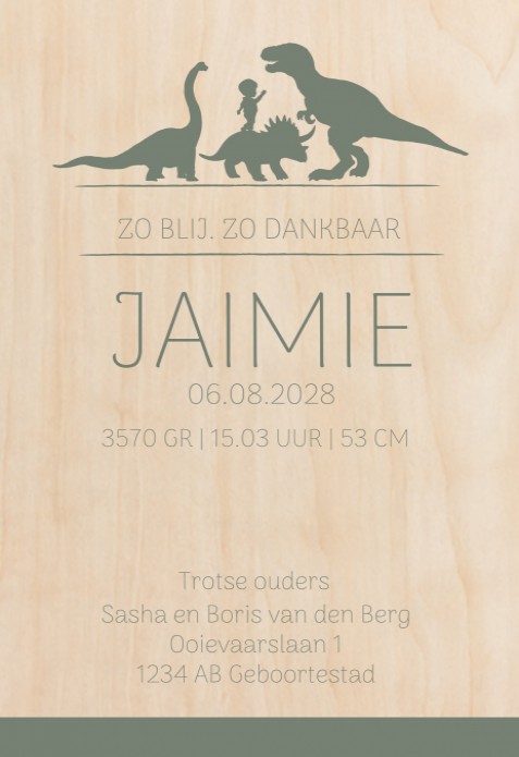 Geboortekaartje dinosauriërs Jaimie - op echt hout