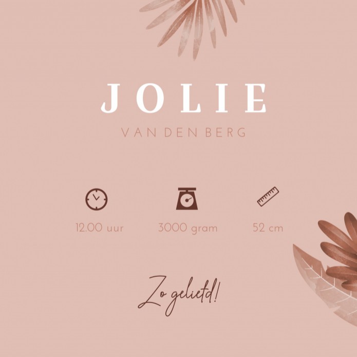 Geboortekaartje meisje dochter terra roze botanical Jolie - rosegoudfolie optioneel