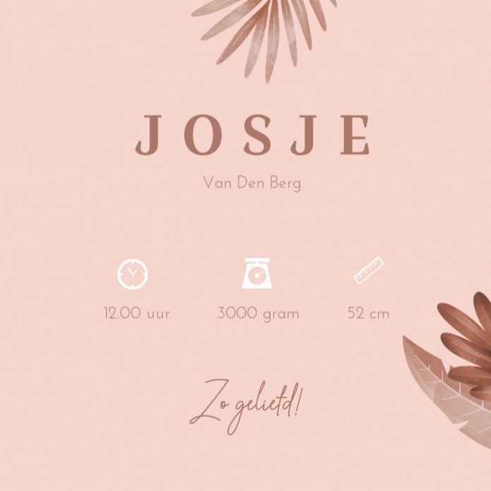 Geboortekaartje meisje roze botanical Josje - rosegoudfolie optioneel