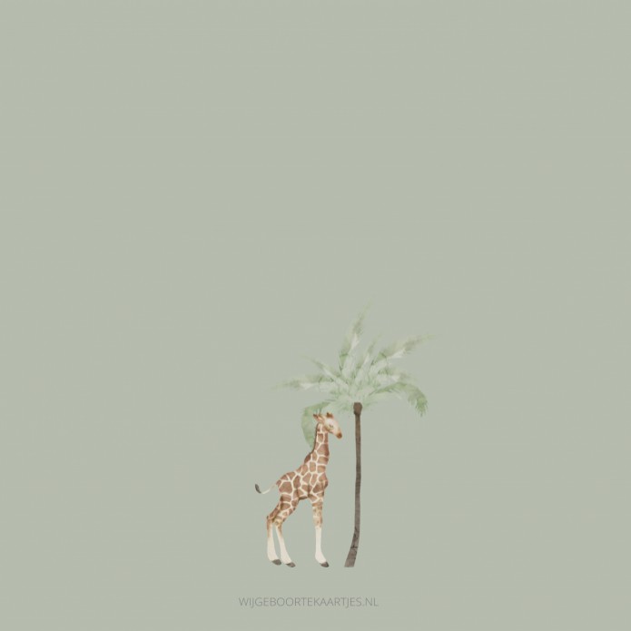 Geboortekaartje jongen giraf jungle Wout