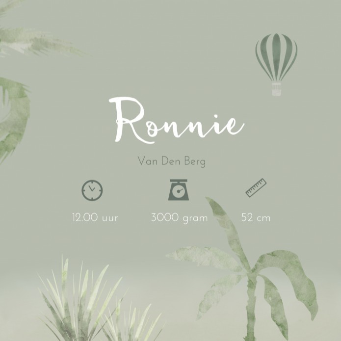 Geboortekaartje jongen groen jungle giraf Ronnie