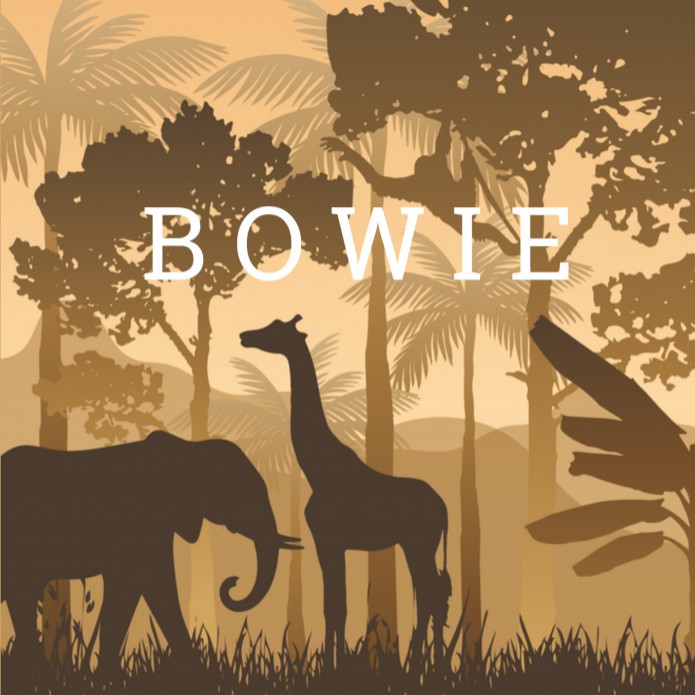 Geboortekaartje neutraal jungledieren Bowie voor