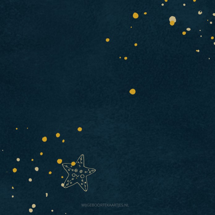 Geboortekaartje onderwaterwereld donkerblauw Laurens - goudfolie optioneel achter