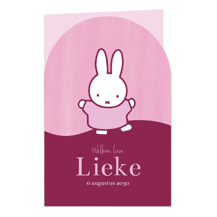 Geboortekaartje meisje nijntje boog roze Lieke