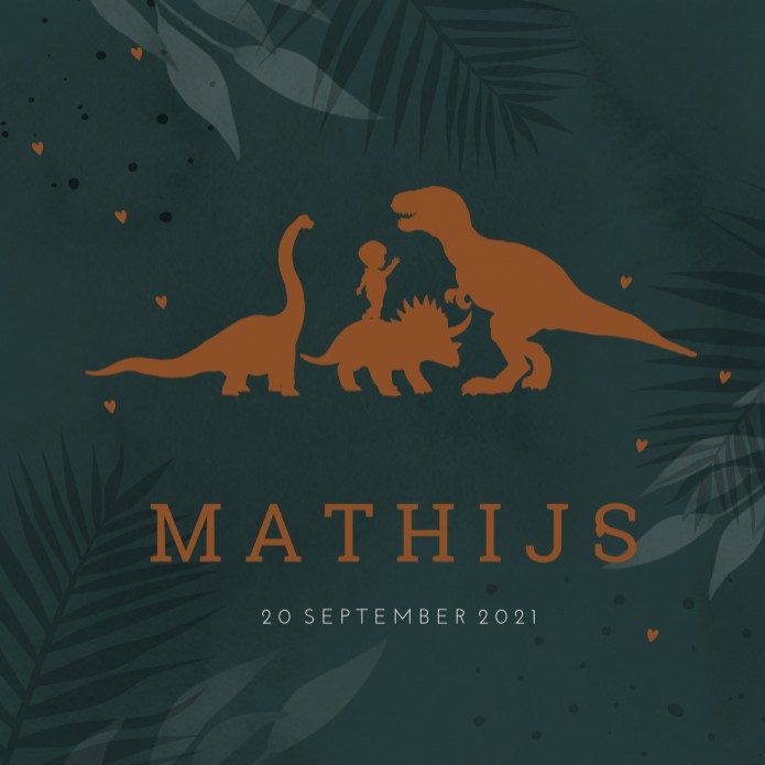 Geboortekaartje jongen silhouette dinosauriërs Mathijs