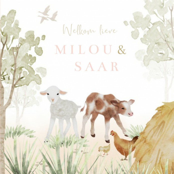 Geboortekaartje boerderij dieren tweeling Milou en Saar