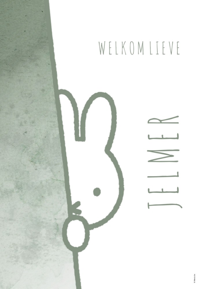 Poster nijntje watercolour Jelmer