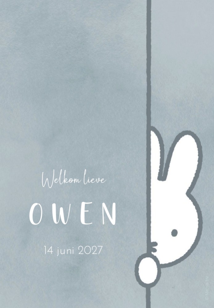 MINIPOSTER Owen nijntje