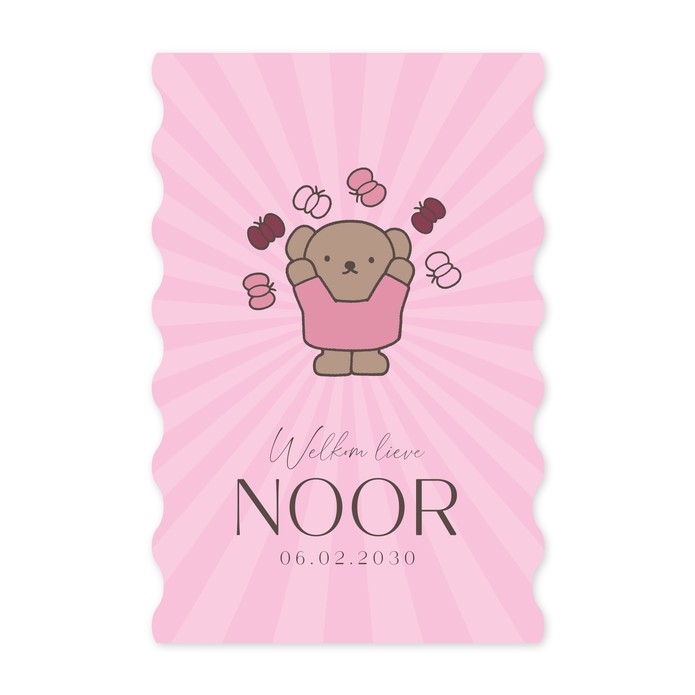 Geboortekaartje meisje nijntje beer vlinders roze Noor