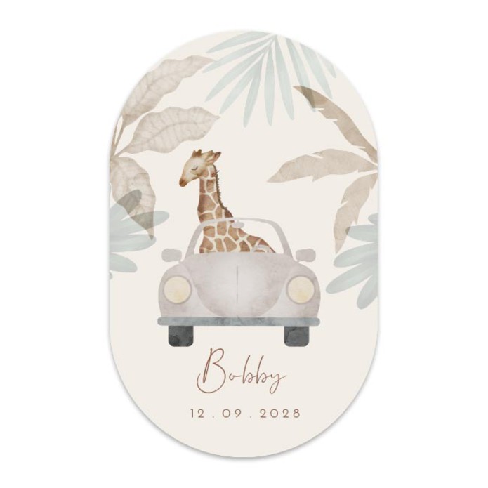 Geboortekaartje meisje auto giraf Bobby