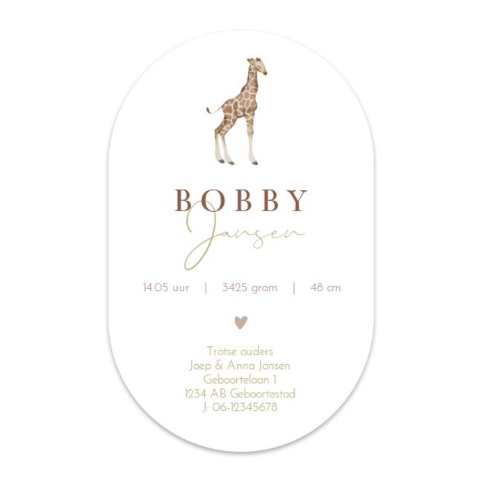 Geboortekaartje meisje auto giraf Bobby