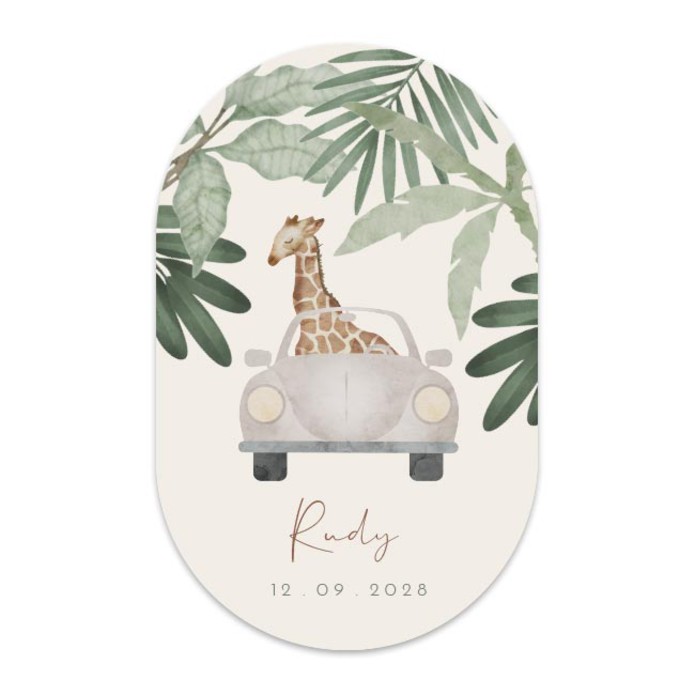 Geboortekaartje jongen auto giraf Rudy