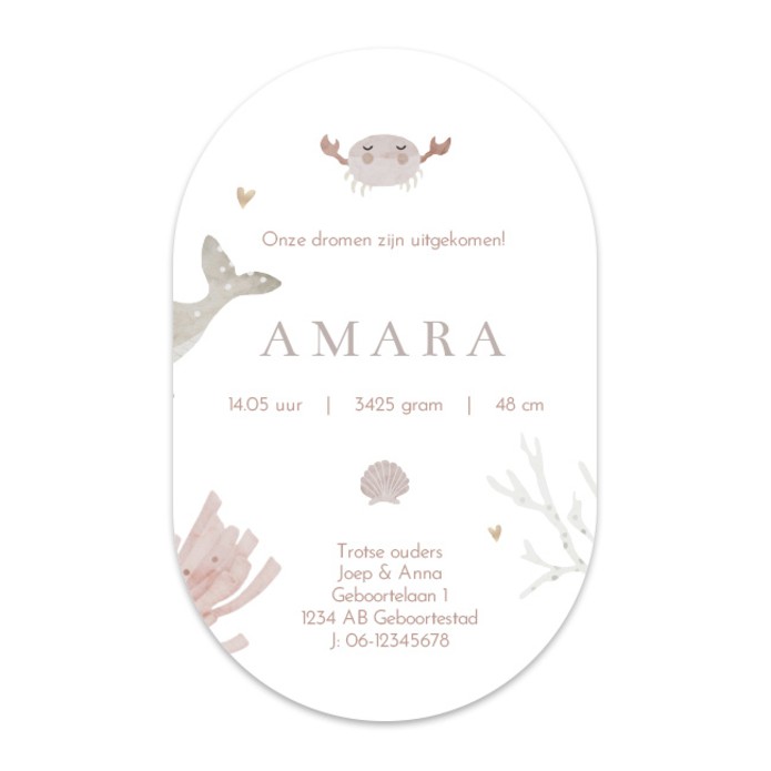 Ovaal geboortekaartje meisje zeedieren Amara
