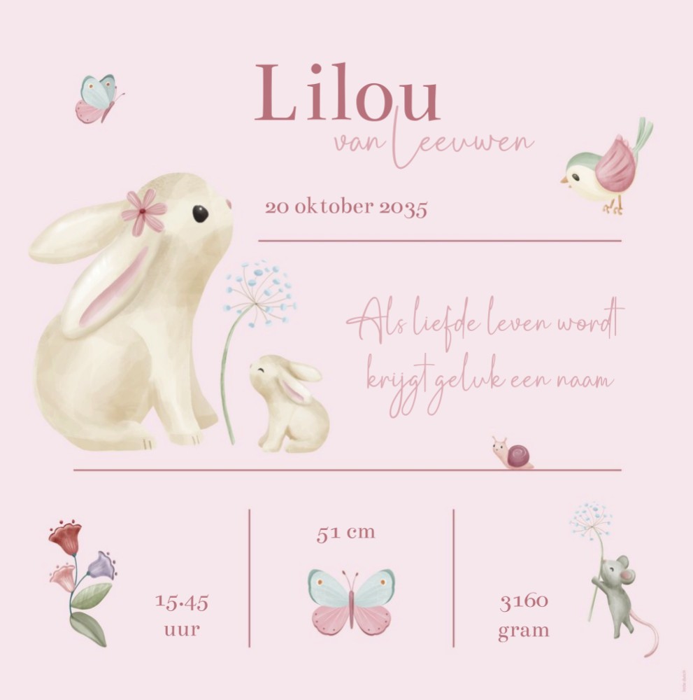 Poster Little Dutch konijn geboortegegevens Lilou