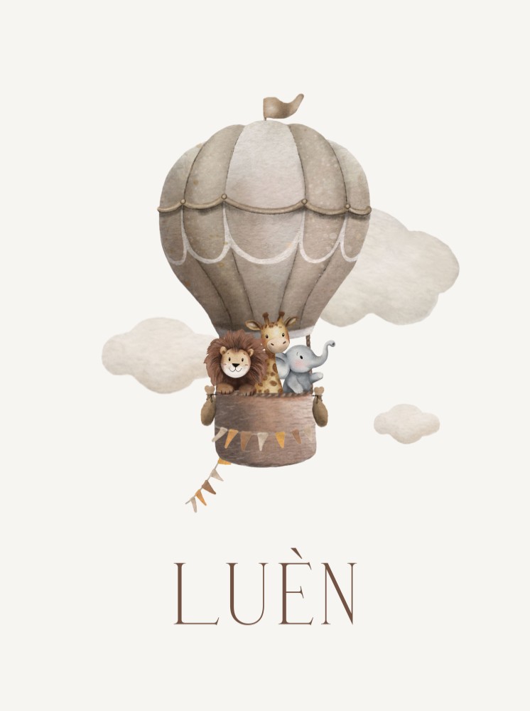 Poster neutraal luchtballon Luèn
