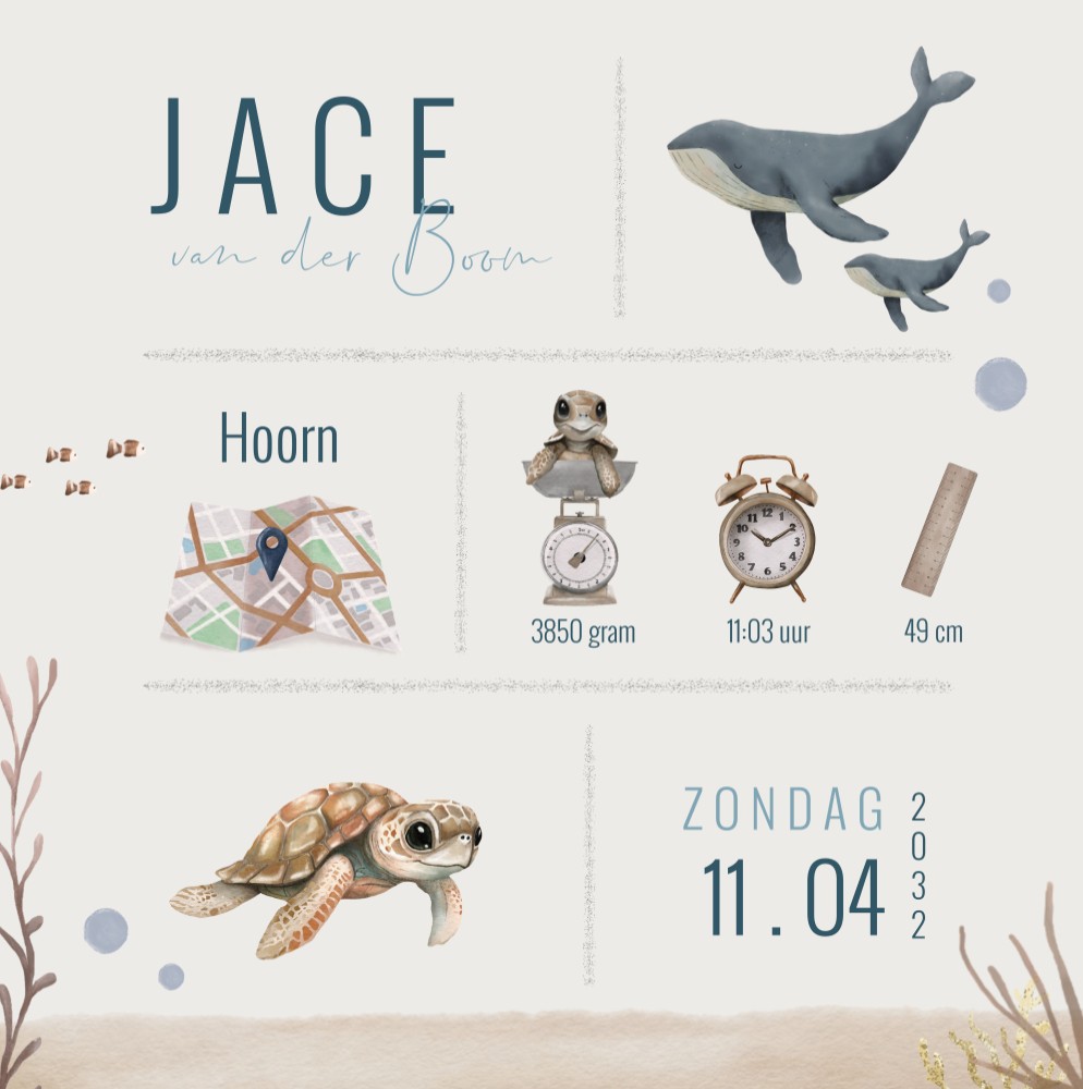 Poster oceaandieren met geboortegegevens Jace