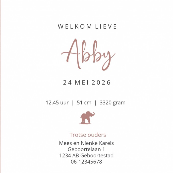 Geboortekaartje Prénatal meisje olifant roze Abby binnen