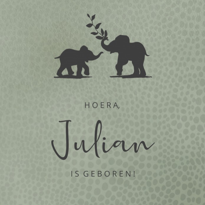 Geboortekaartje Prénatal jongen olifant grijs groen Julian voor