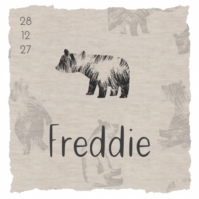 Geboortekaartje Prénatal zoon beer grijs Freddie