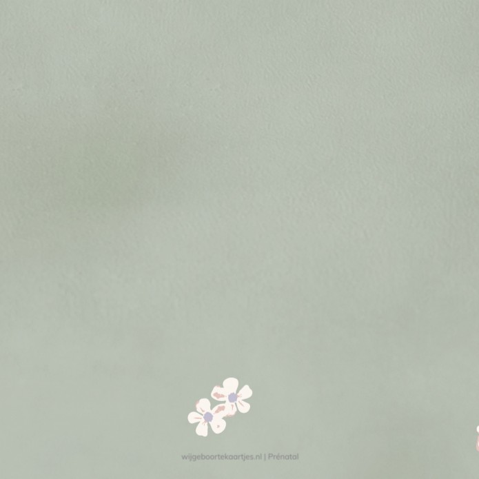 Geboortekaartje Prénatal neutraal groen met bloemen Timme achter