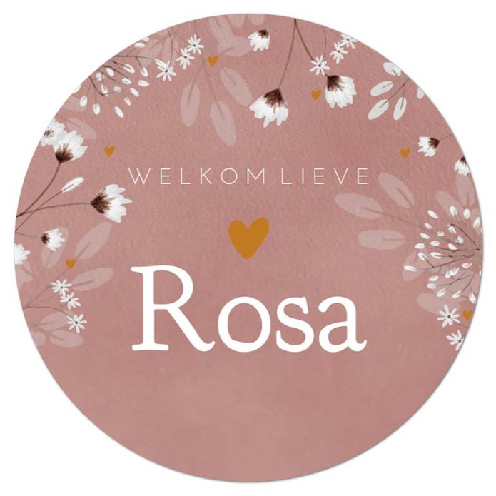 Raamsticker meisje floral botanical roze rosa