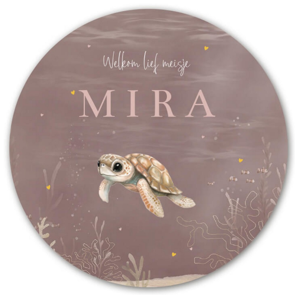 Raamsticker onderwater schildpad Mira