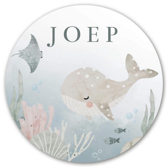 Raamsticker oceaan zeedieren Joep