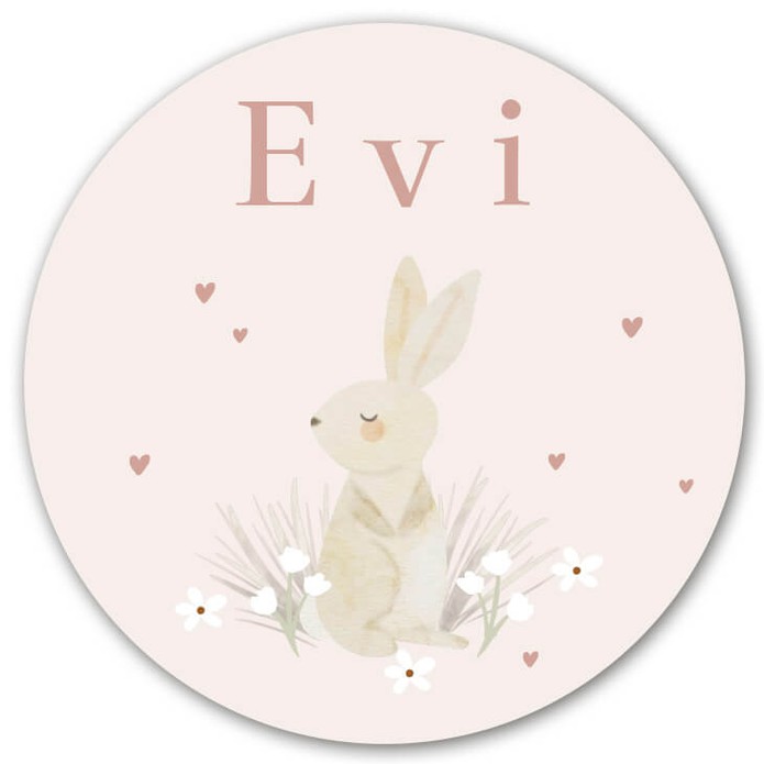 raamsticker-geboorte-aankondiging-roze-lief-meisje-konijn-bloemen-evi