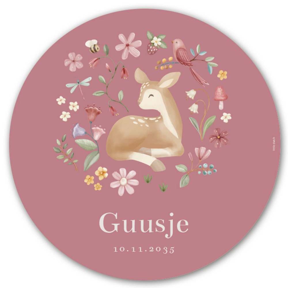 Geboorteaankondiging raamsticker Little Dutch Guusje