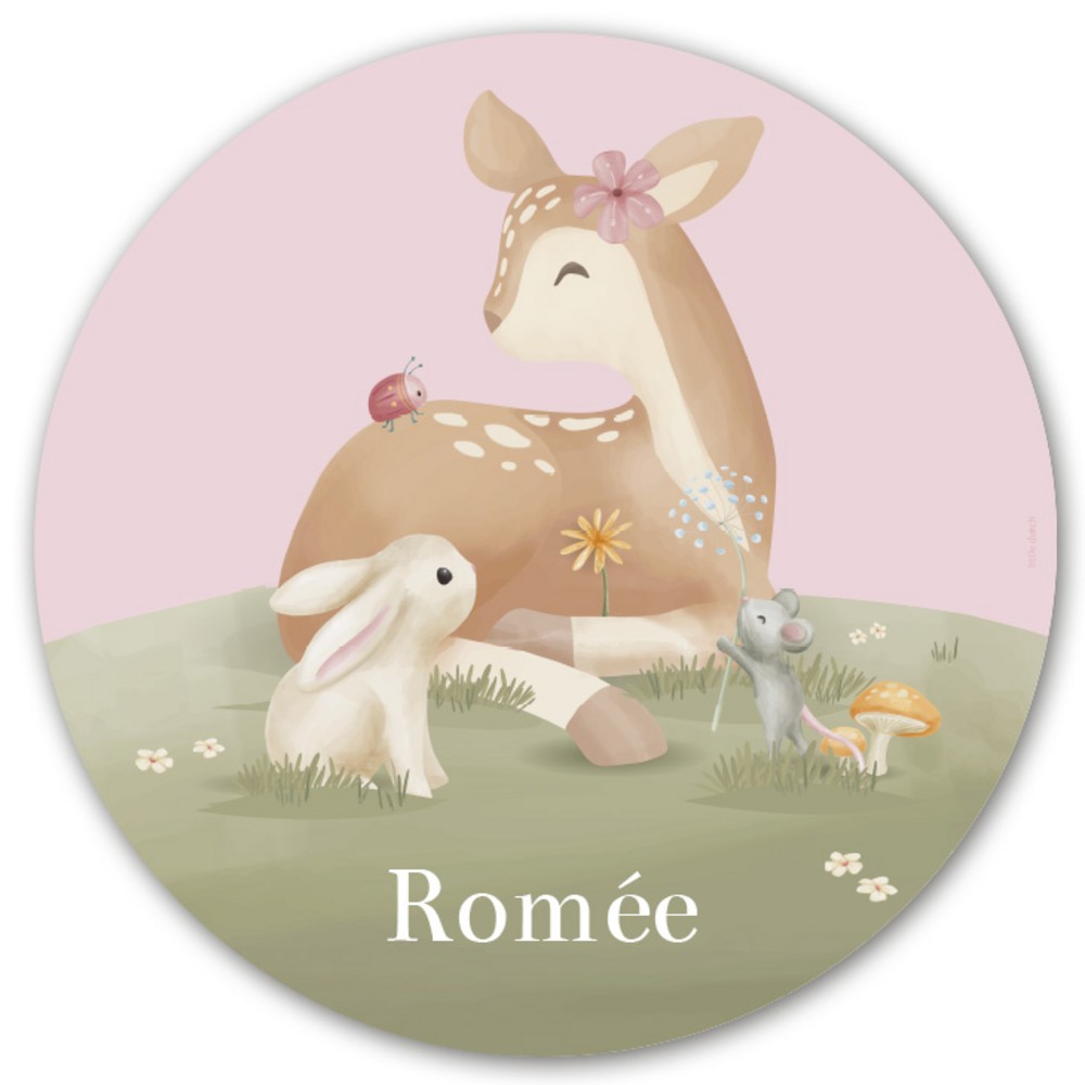 Geboorteaankondiging raamsticker Little Dutch Romee