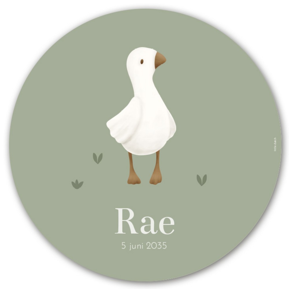Geboorteaankondiging raamsticker Little Dutch Rae