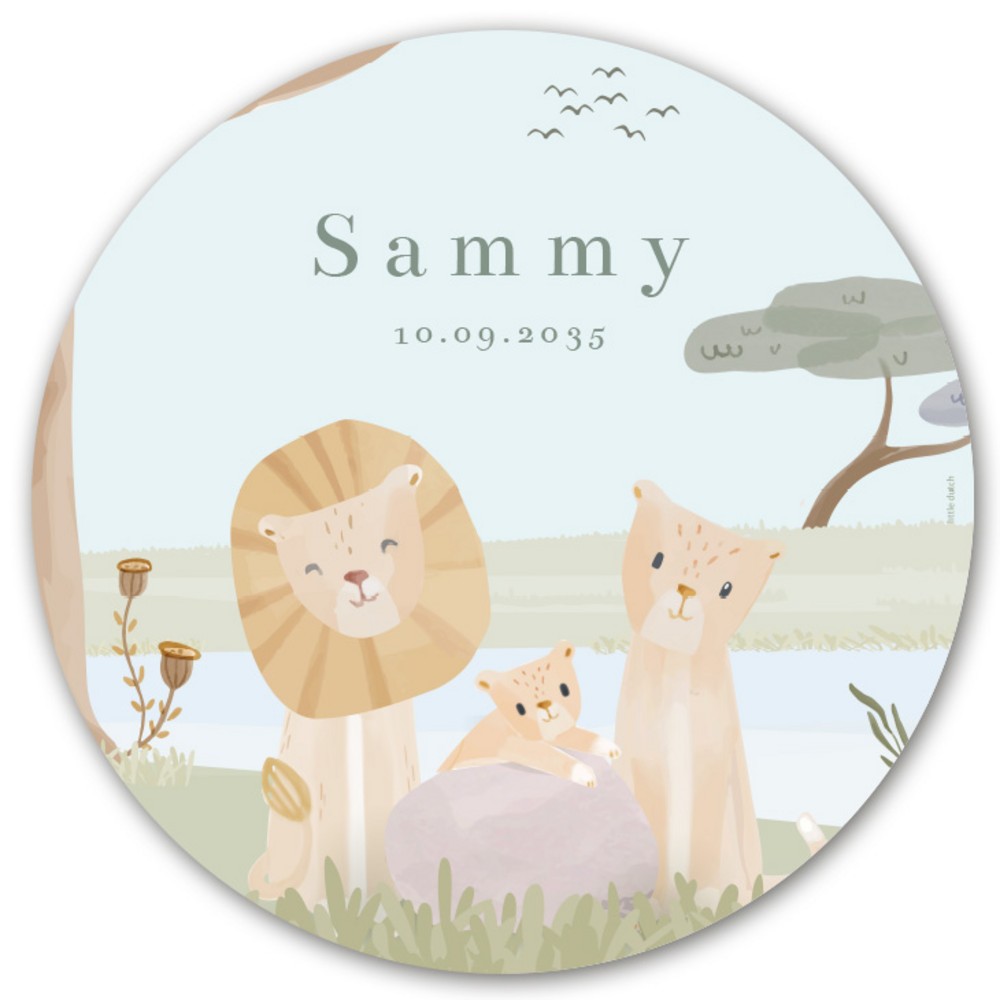 Geboorteaankondiging raamsticker Little Dutch Sammy