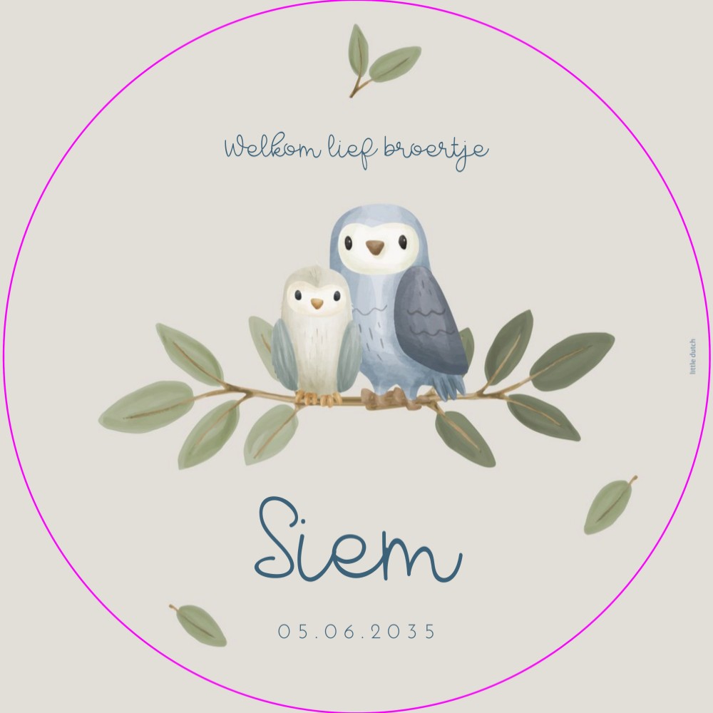 Raamsticker Little Dutch uilen Siem