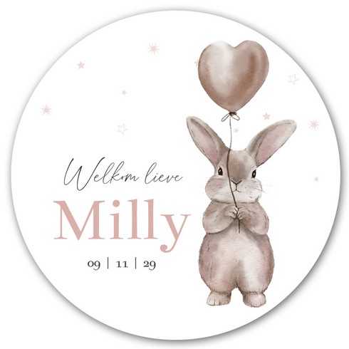 Raamsticker konijn ballon Milly