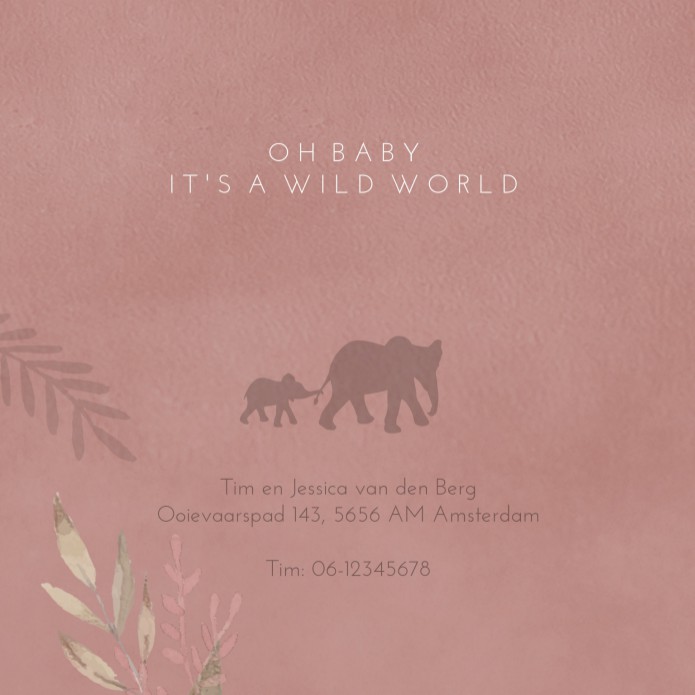 Geboortekaartje meisje roze olifanten Saartje binnen
