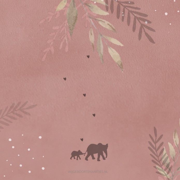 Geboortekaartje meisje roze olifanten Saartje achter