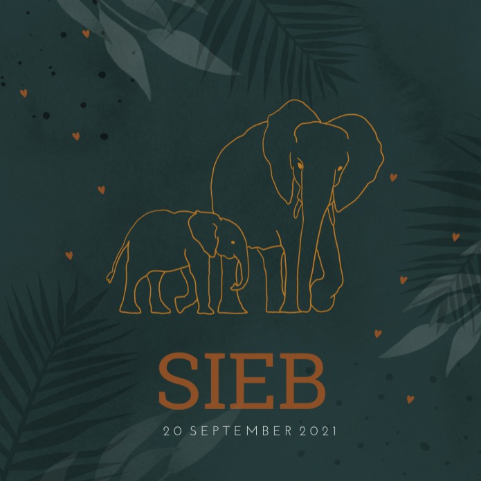 Geboortekaartje jungle koperfolie olifanten Sieb