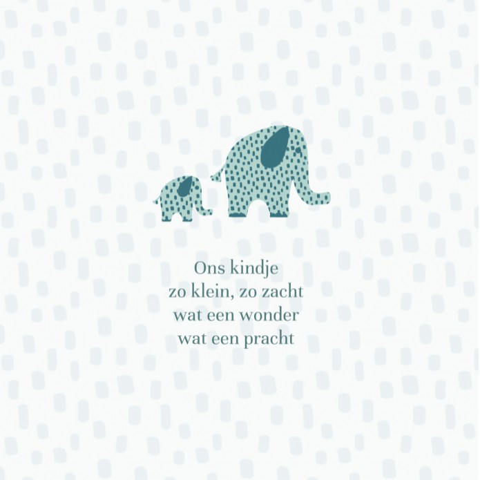 Geboortekaartje Prénatal mint groen blauw olifanten Siem