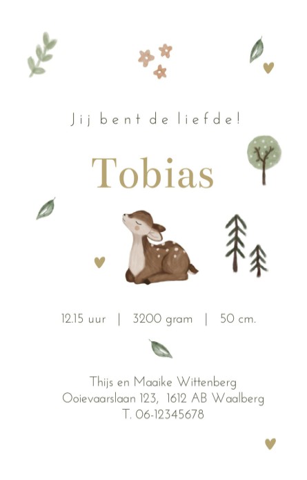 Geboortekaartje neutraal bosdieren folklore Tobias