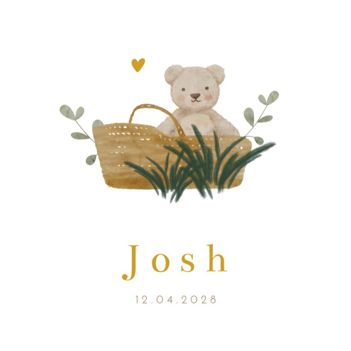 Geboortekaartje neutraal teddy mand Josh