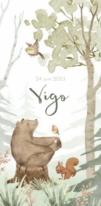 Geboortekaartje jongen bos dieren beer aquarel Vigo voor
