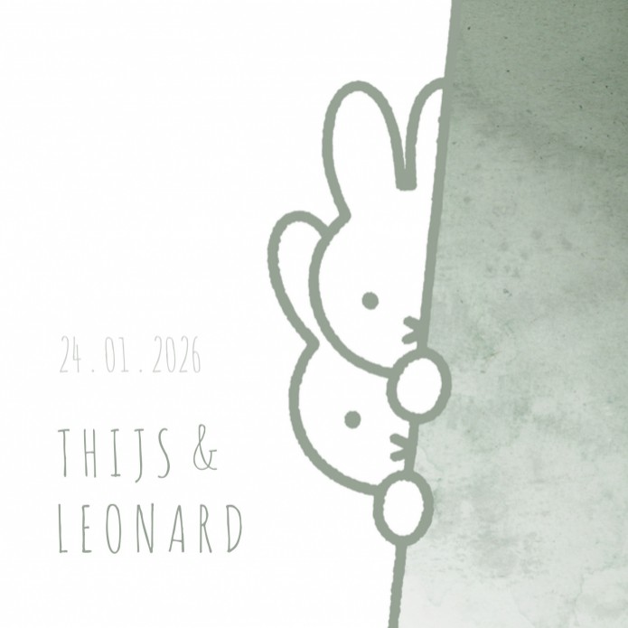 Geboortekaartje nijntje tweeling groen Thijs en Leonard voor