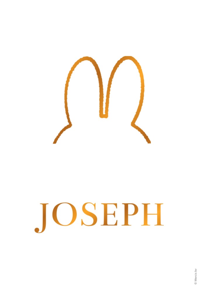 Poster nijntje oren Joseph