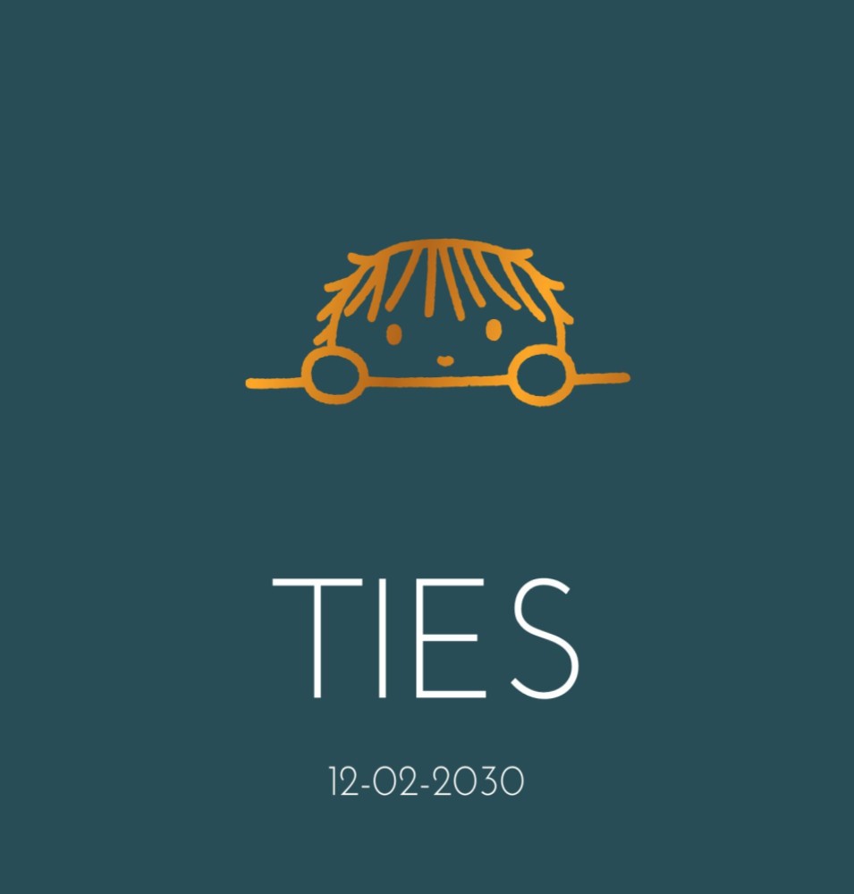 Geboortekaartje nijntje jongen blauw Ties