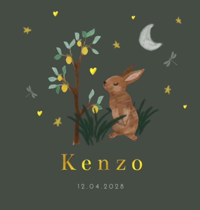 Geboortekaartje jongen folklore konijn Kenzo